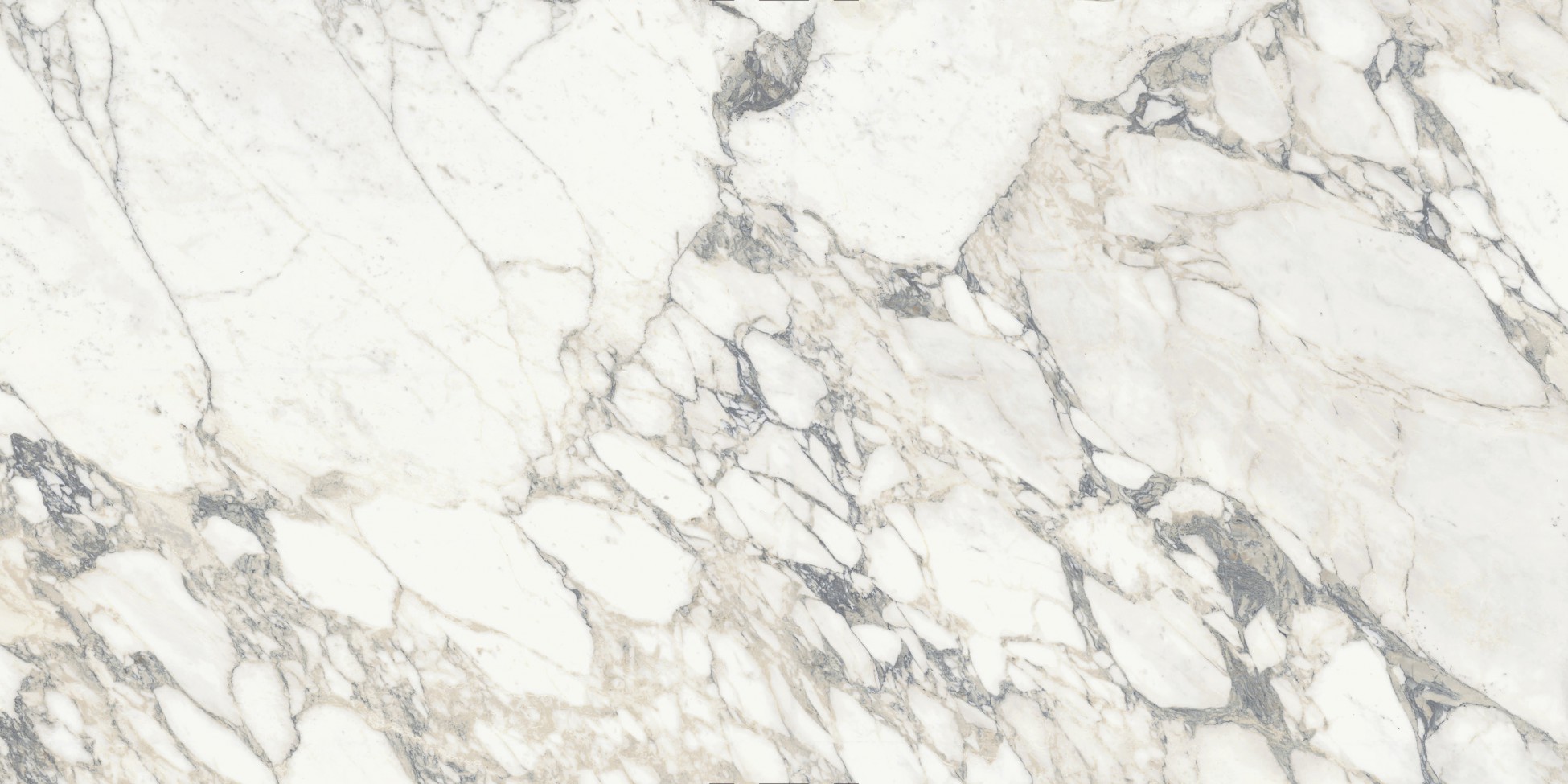 Arabescato - SapienStone