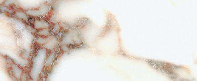 Calacatta Viola - Bruno paul