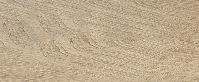 Rovere Buckskin - Bruno paul